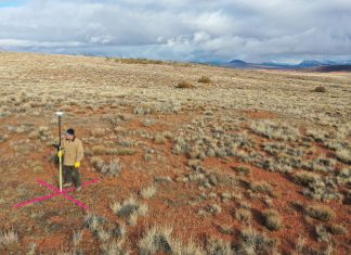 Professional Surveyors Deliver Trusted Surveying Services