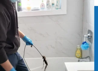 Keep Your Pipes Flowing Smoothly: Expert Drain Cleaning Toronto Services