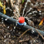 Seasonal Hardscaping Maintenance and Winter Prep Irrigation Services