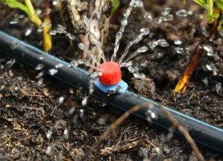 Seasonal Hardscaping Maintenance and Winter Prep Irrigation Services