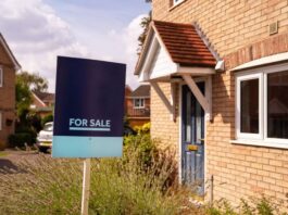 Homes for Sale Charlotte NC: Real Talk From People Who Know This City