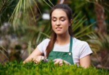 Green Garden Outdoor Lighting Seattle for Stunning Night Views landscaping seattle