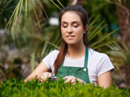 Green Garden Outdoor Lighting Seattle for Stunning Night Views landscaping seattle
