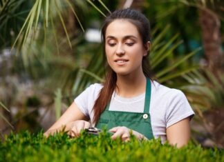 Green Garden Outdoor Lighting Seattle for Stunning Night Views landscaping seattle